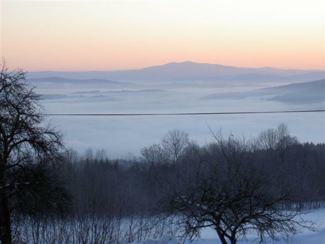 Berggasthof Schoen Patersdorf Bagian luar foto